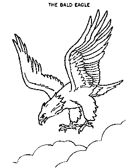 Eagle coloring pages and drawing