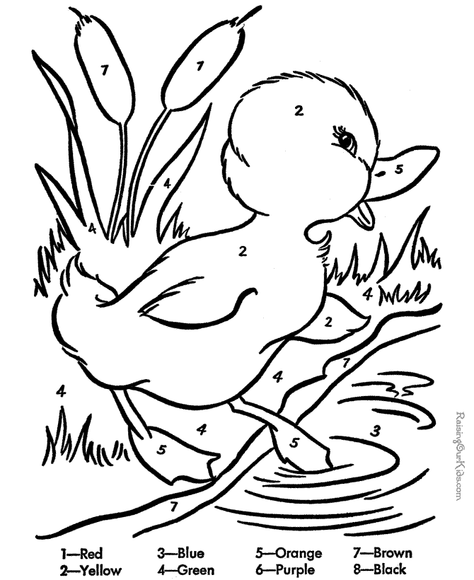 color by number worksheet of duck in a pond